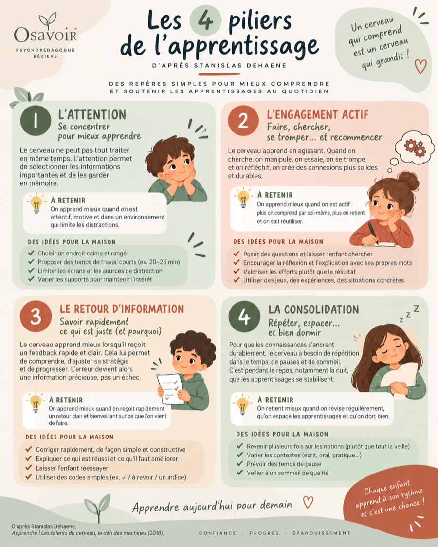 Aperçu de l'affiche « Les 4 piliers de l'apprentissage », d'après Stanislas Dehaene
